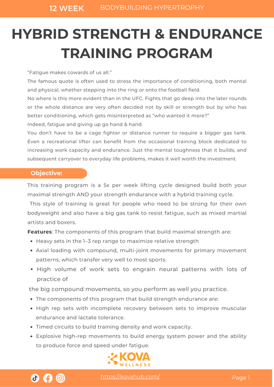 HYBRID STRENGTH & ENDURANCE