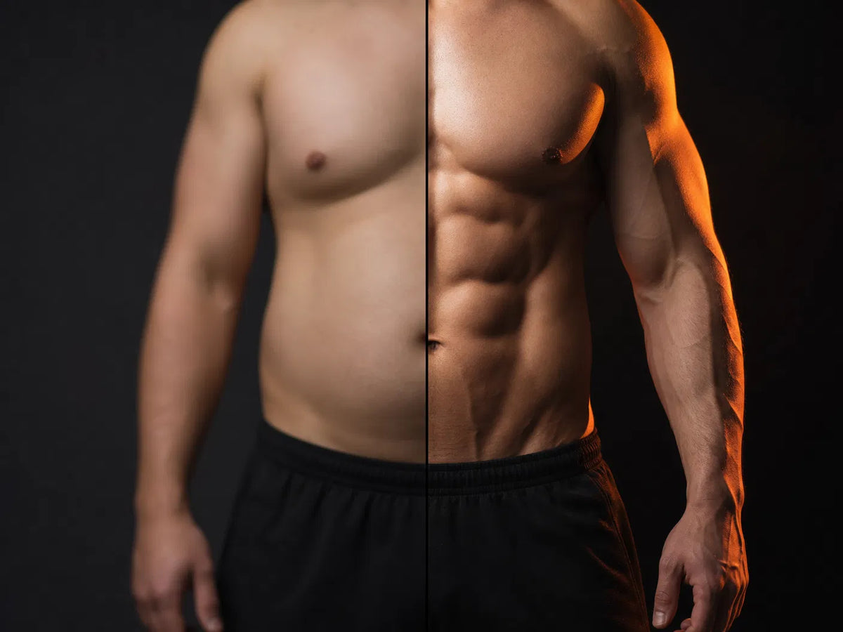 Transformation